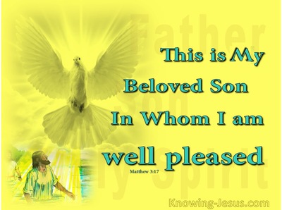 Matthew 3:17 A Beautiful Picture (devotional)10-06 (yellow)